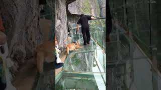 Travel Recommender Glass Plank Road Travel Player Glass Bridge