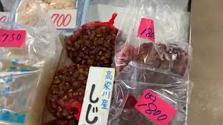 道の駅笠岡ベイファーム直売所鮮魚コーナー7/10