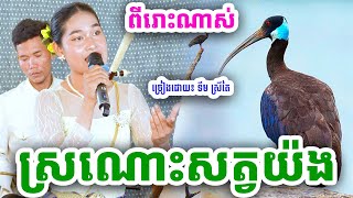 បទៈស្រណោះសត្វត្រយ៉ង ច្រៀងដោយ៖ ទឹម ស្រីតៃ [Nguy Sokheng]