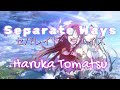 Sword Art Online II Opening 3 Full - Separate Ways by Haruka Tomatsu