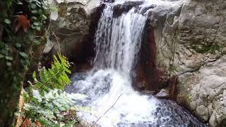 【滝の音】 雨滝 石鎚山系 表川上流を流れる滝の音と鳥の声 ホワイトノイズ  Relaxing Water Sounds for Stress Relief and Healing 4K 3H