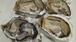 Taste test tayo sa Tatlong klase na oyster|Koshi| Sunseeker| Olympia