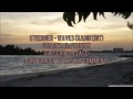 Steerner - (Waves Radio Edit)