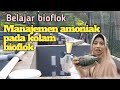 Belajar bioflok/Manajemen amoniak pada kolam bioflok