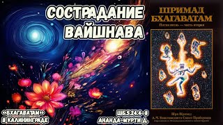 Сострадание вайшнава. Ананда-мурти д. ШБ.5.24.4–8