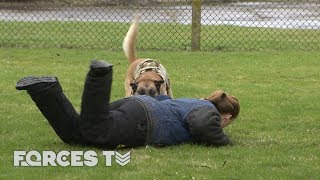 Getting 'Attacked' By The Military Dog That Protected President Obama | Forces TV