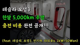 테슬라 모델3  한달 5,000km 주행, 충전 비용 완전 공개!!! (feat. 테슬라, 모델3, 전기차, 파워큐x, 1kW=50Won)