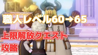 [ドラクエ10]職人レベルの上限解放が来た！