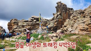 몽골 야생화 트래킹 4박5일