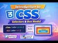 CSS Selectors & Box Model Explained | Complete CSS Basics for Beginners