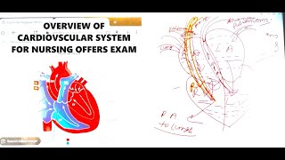 overview of cardiovascular system || ANATOMY&PHYSIOLOGY NURSING BOOK || BY  @v2mamnursingclasses15