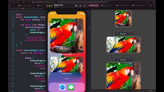 WidgetKit(StaticConfiguration) iOS14 part#4