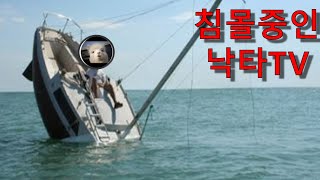 낙타tv 자칭 레전드 영상 황교안팔이 등등