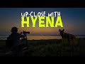 Hyena Safari in Mirzapur with Raat Safari - 4K Video Hindi | हिन्दी