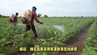 草甘膦铵盐除草剂怎么用？农药代加工原药和制剂