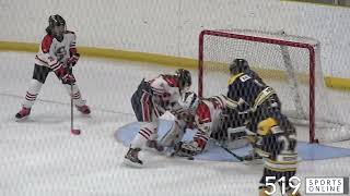 Under 13 Girls Hockey - Wilmot Wolverines vs Stratford Aces