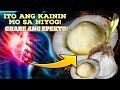 Grabe Ganito pala ang Epekto ng Pagkain sa Parteng ito ng Niyog | COCONUT SPROUT BENEFITS!