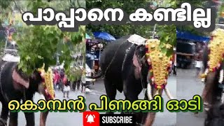 പാപ്പാനെ കണ്ടില്ല കൊമ്പൻ പിണങ്ങി ഓടി ||മച്ചാട് ധർമൻ ||#thrissurpooram2022