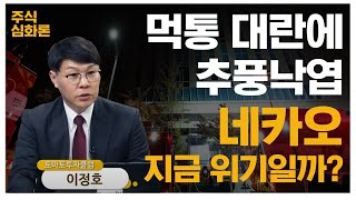 네카오 악재에 속타는 개미...출구 전략은? [주식심화론]