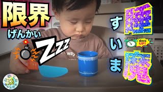 睡魔が半端ない様子の1歳児がこちら