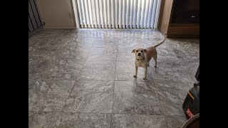 Home Depot Traffic Master White and Grey Travertine 18x18