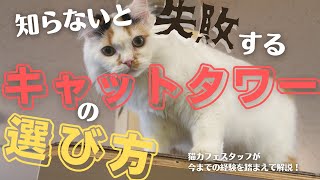 【猫のお世話】知らないと失敗する💔😱キャットタワーの選び方🐈