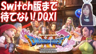 【ドラクエ11】バニー風にDQ11を楽しもう！(最後の砦～グレイグとの共闘)