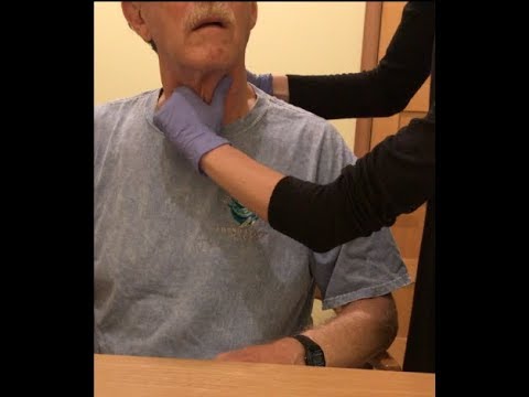 Stretches For Voice Therapy