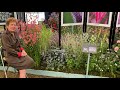 Summer Flowering Perennials at Hampton Court Flower Show