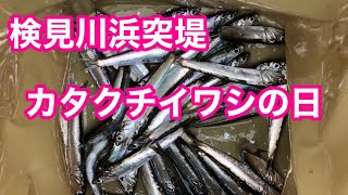 [Kemigawa Beach Jetty] Anchovy Day First thing in the morning on September 3, 2022.