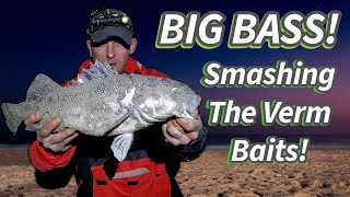 BIG Bass Caught Using GIANT Verm Baits! - EPIC Beach Fishing Trip!