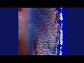 Soft Collapse