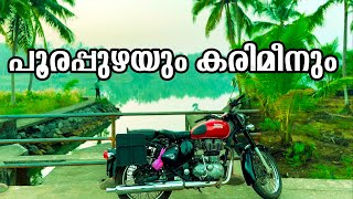 പൂരപ്പുഴയും കരിമീനും | POORAPPUZHAYUM KARIMEENUM | FLYING FISHING THALIKA | #fishing