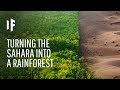 What If We Terraformed the Sahara Desert?