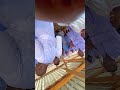 Mai Tondondo —— mazuva atokwana kuna baba