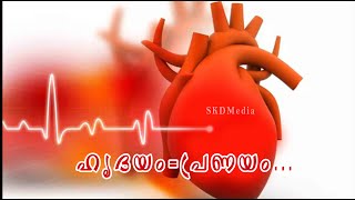 വിസ്മയം നിറയുന്ന വഴികളിലൂടെ നടന്ന്‌ അവൻ ഹൃദയങ്ങൾ കീഴടക്കി!ഈ ഭൂമിയിൽ പിറന്നതൊ  പ്രണയിക്കാൻ മാത്രം!