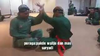 MBAH WALIJO| PENDEKAR PERSINAS ASAD LDII| SILAT INDONESIA