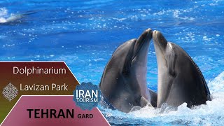 Dolphinarium,Lavizan Park,Museum of Wildlife Reptiles|دلفیناریوم، پارک لویزان،موزه حیات وحش خزندگان