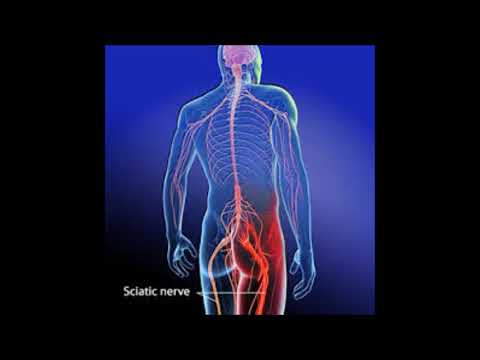 Stretches To Relieve Sciatic Nerve Pain In Pregnancy Stretches To Relieve Sciatic Nerve Pain In Pregnancy