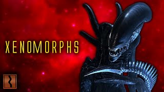 Alien's Xenomorphs EXPLAINED