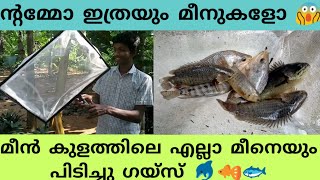 ന്റമ്മോ ഇത്രയും മീനുകളോ 😱 | മീൻ കുളത്തിലെ എല്ലാ മീനിനെയും പിടിച്ചു ഗയ്സ് 🐬🐠🐟