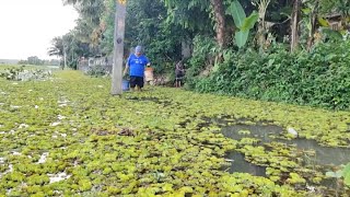 കിഴക്കേ കല്ലട പടപുഴ - കണ്ണൻമൂല റോഡിന്‍റെ നിർമ്മാണത്തിൽ അപാകത