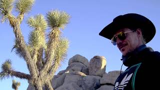 Higher Ground Presents Transmissions With Diplo Live From Joshua Tree