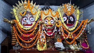 9-02-2025[ଶ୍ରୀ ଜଗନ୍ନାଥ ସଂନ୍ଧ୍ୟା ଆରତୀ ]Jagannath sandhya arati #Jagannathtemple #puri