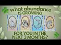 🌱✨What Abundance is Growing for You in the Next 3 Months? 🔮✨ | PICK A CARD Timeless Tarot Reading