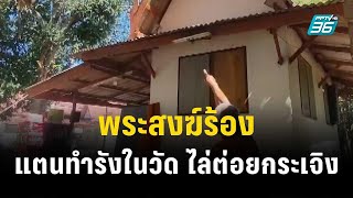 พระสงฆ์ร้อง แตนทำรังในวัด ไล่ต่อยกระเจิง| โชว์ข่าวเช้านี้ | 26 ธ.ค. 66