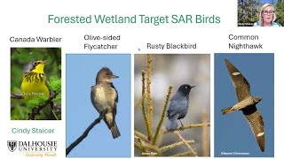 Conserving Habitat for Forested Wetland Birds at Risk- Intro Webinar