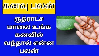 ருத்ராட்ச மாலை உங்க கனவில் வந்தால் என்ன பலன்/#kanavu/kanavu palangal all in one nandhini