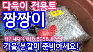 찬바람 분다! 가을 분갈이 준비하세요! 단지네다육에서 배양토 짱짱이 소개해요! 단지네다육 010.8958.5774