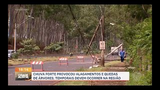 Chuva forte provoca alagamentos e quedas de árvores